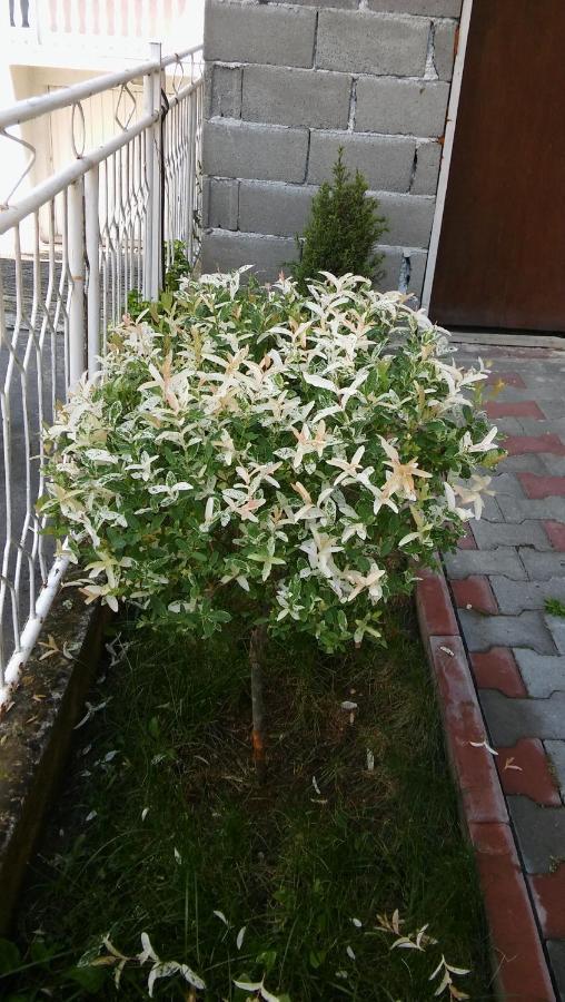 Ni Apartment Fenix מראה חיצוני תמונה